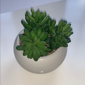 Homegoods fake succulent!